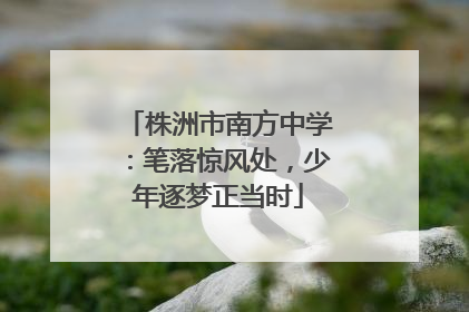 株洲市南方中学：笔落惊风处，少年逐梦正当时
